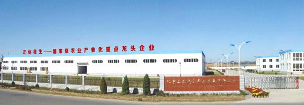 遼寧正業(yè)花生產業(yè)：共抗疫情，龍頭企業(yè)顯擔當！(圖1)