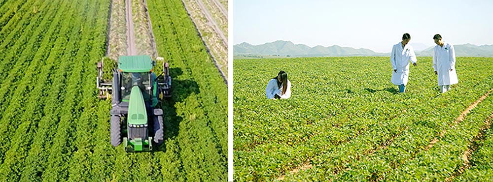 遼寧正業(yè)花生產業(yè)：共抗疫情，龍頭企業(yè)顯擔當！(圖3)