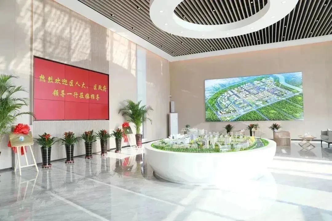 龍港區人大、區政府領導一行視察調研龍港國際醫療健康產業園(圖2)