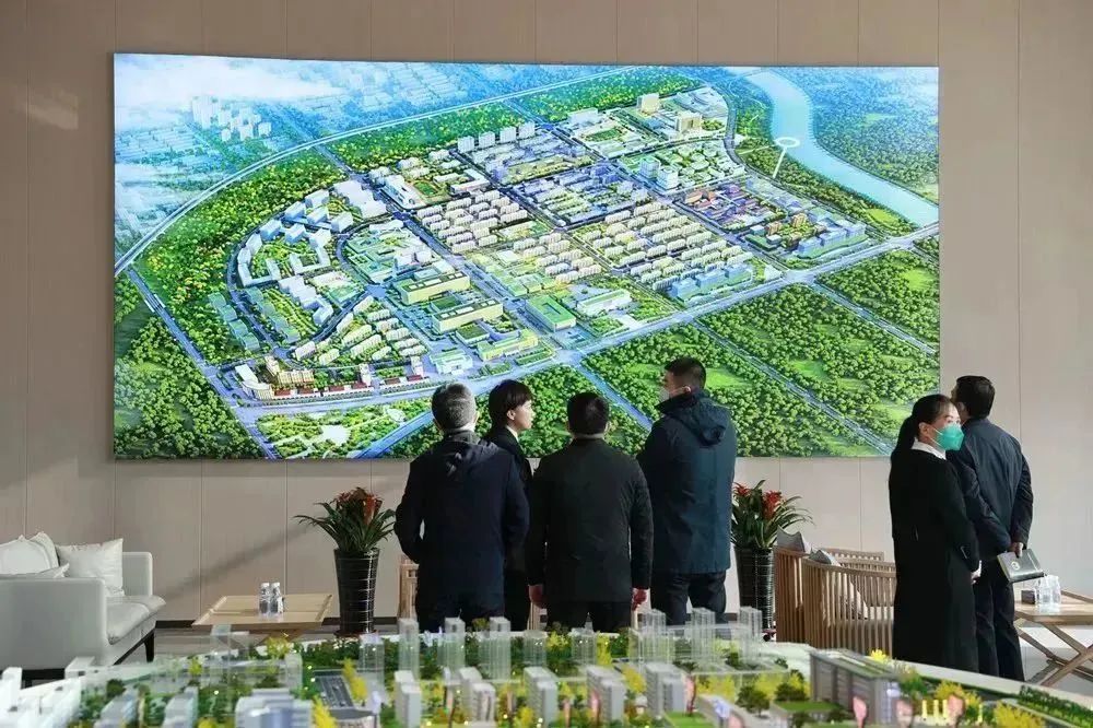 龍港區人大、區政府領導一行視察調研龍港國際醫療健康產業園(圖8)