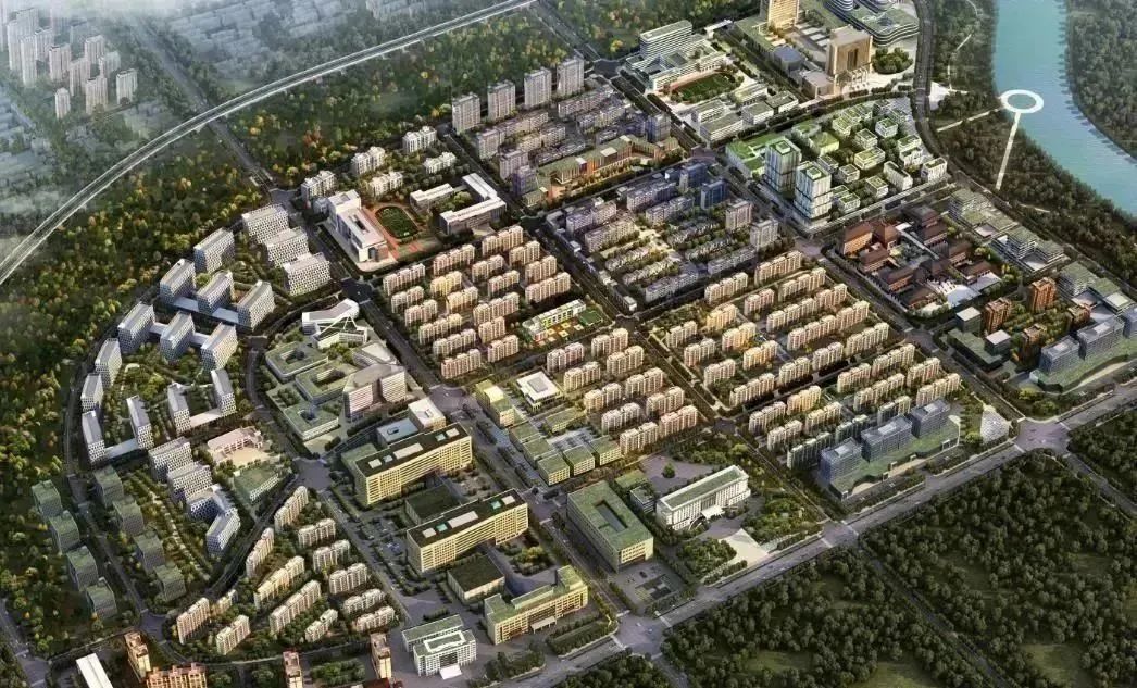 龍港區人大、區政府領導一行視察調研龍港國際醫療健康產業園(圖18)