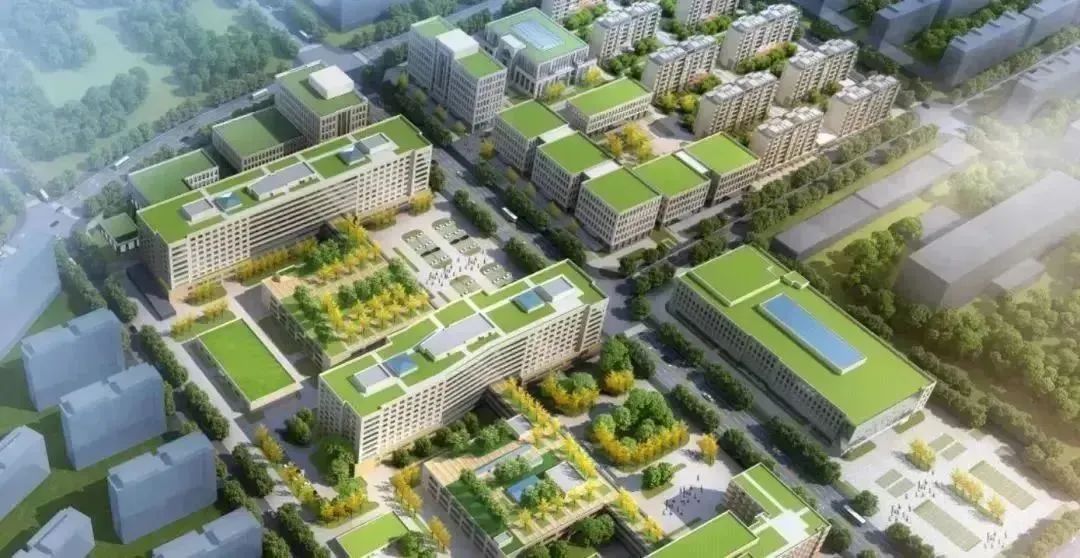 龍港區人大、區政府領導一行視察調研龍港國際醫療健康產業園(圖23)